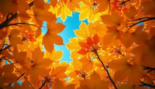 5ecd64ba5af1.webp