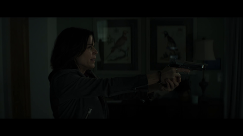 vlcsnap 2026 03 17 06h07m04s400.png