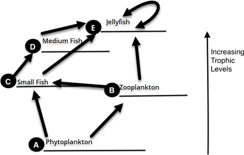 image.2