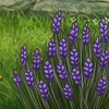 IMG 0124.png