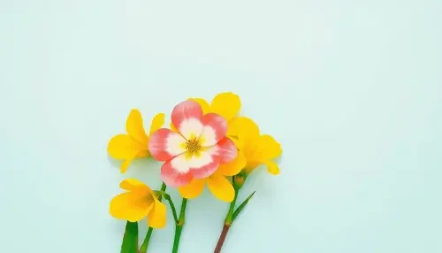 8d24daf61362.webp