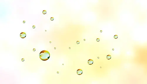 c0c63117585f.webp
