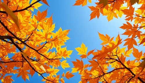 402ab75ce5c8.webp
