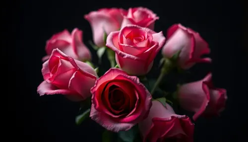 e239d6db35e7.webp