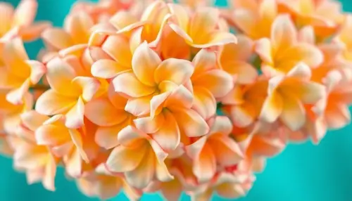 b1675e99ed47.webp