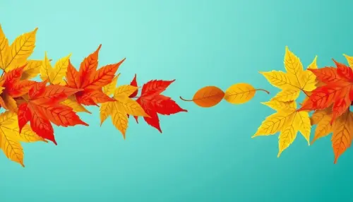 ce643d98f158.webp