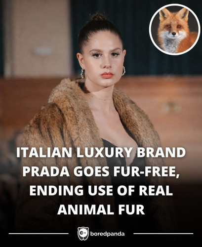 ITALIAN LUXURY BRAND PRADA GOES FUR FREE, ENDING USE OF REAL ANIMAL FUR.jpg