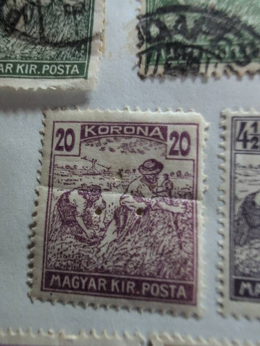 5eda36de70f2.jpg
