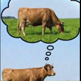 de4f01a911fa.png