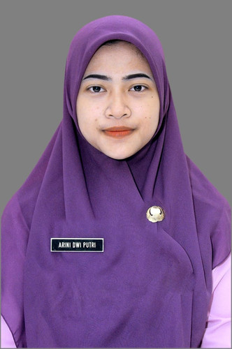 ARINI.1