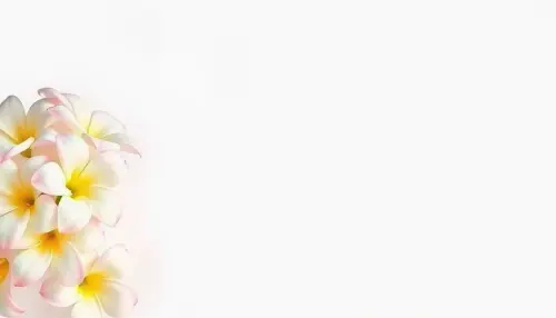 f404c512652c.webp