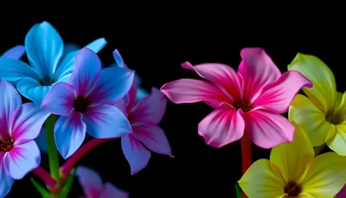 e66796bdb406.webp