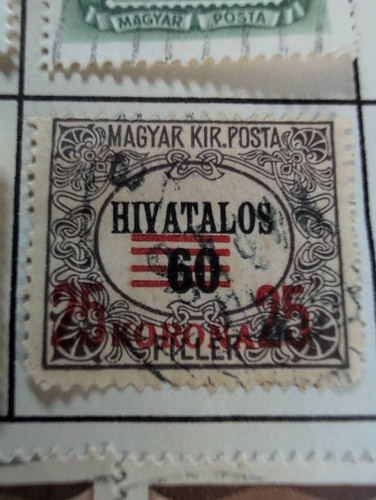 f52721d19552.jpg