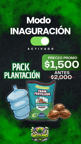imagen 2026 03 17 215915547.png