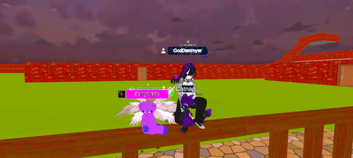 imagen.png