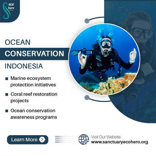 Ocean conservation Indonesia.jpg