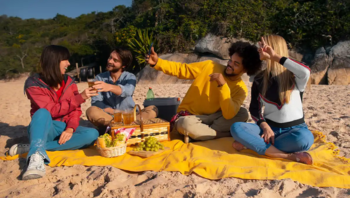 beach picnic ideas 20260309001358 beach picnic ideas.png