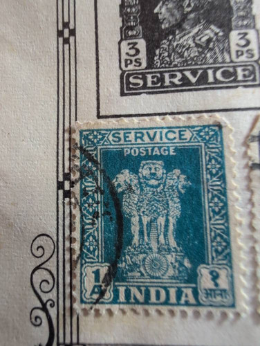 5817031c5151.jpg