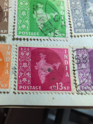 897d4105e011.jpg