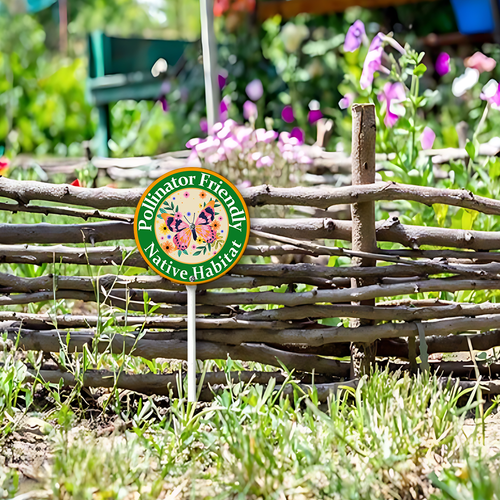 446 23圆+28.png