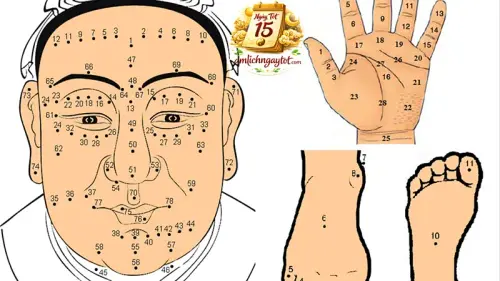 Xem Nốt Ruồi Trong Mệnh Lý Học: Khái Niệm Và Nguyên Tắc.webp