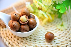 250px Macadamia nuts%2C with one cracked and exposing the nut.jpg
