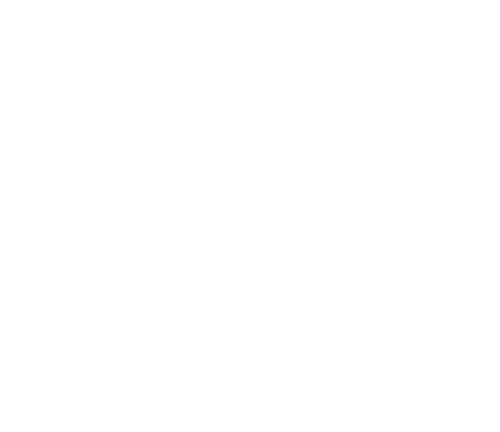 12808.png