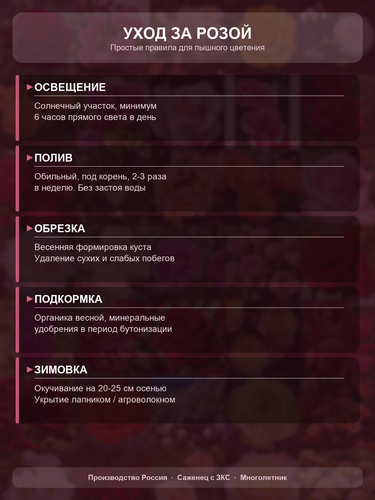 d4937833dde9.png