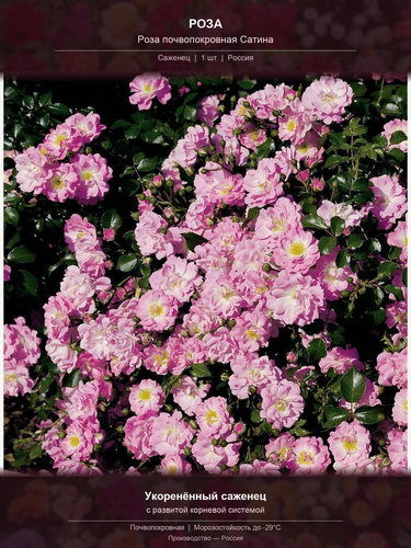 094cdc0bfd7e.png