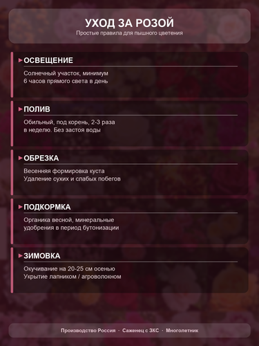 c7beab635a92.png