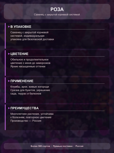 4224ec0178a0.png