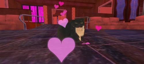 imagen.png