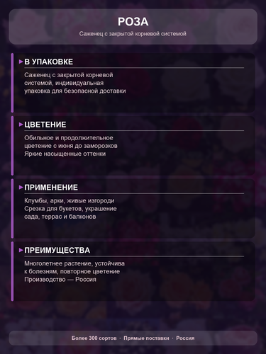 ebb7074cce3a.png