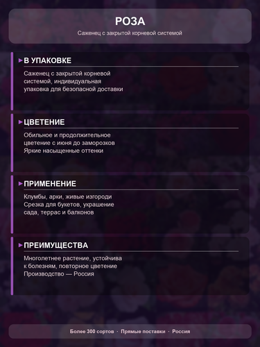 d211487fda3c.png