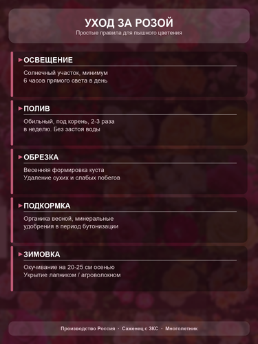 f2834b1a1eb9.png
