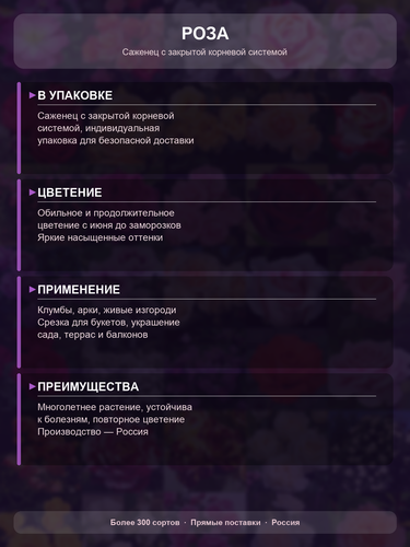cbdf8282d4a6.png