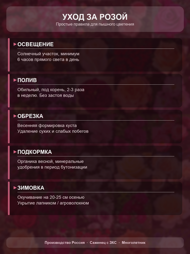 76407cfcea9c.png
