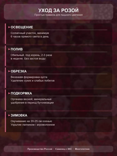 c4a209a7e05c.png