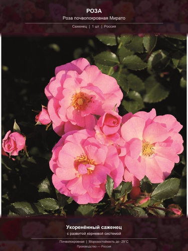 765ab863ddc7.png