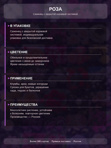 1dbf19033a10.png