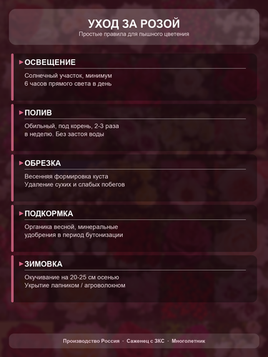 a587a7dc6770.png