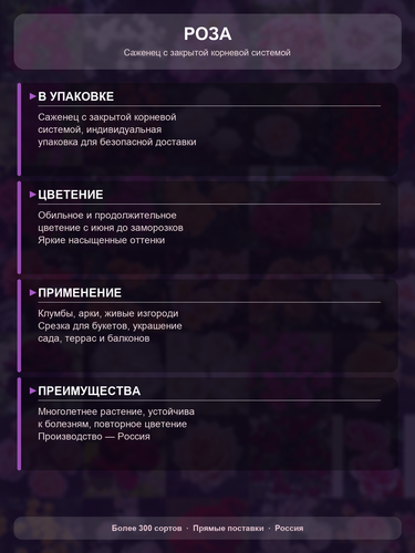 ddf3772e57e0.png