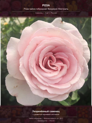 76d2283f022c.png