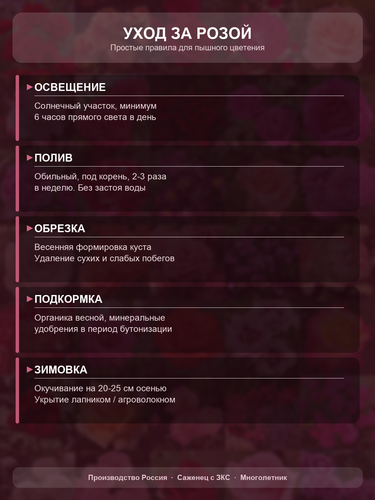 4a6c54ed0610.png