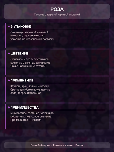 f0044c417a23.png
