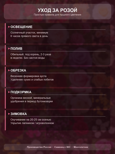 a5e8761188a5.png