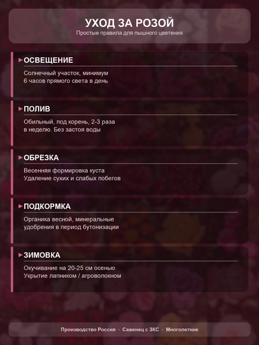 c2b870832ecd.png