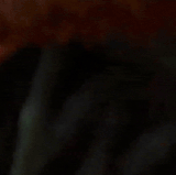 ezgif 2a67845ab003cba1.gif