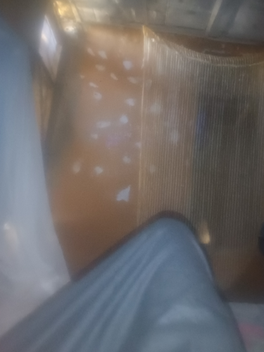temp.png