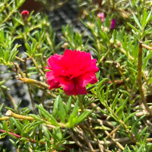 E94 E22 B5 5 A22 4 DF0 AB6 B 365 D2 F0 F1105.webp